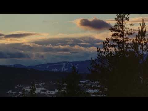 VSL Synchron Elite Strings Demo