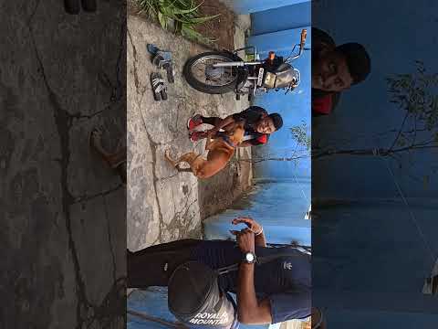 Dog anbu my sun prajith