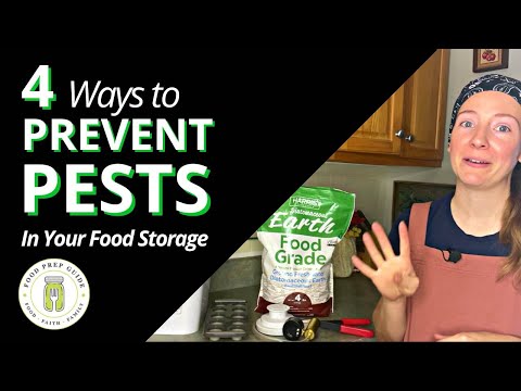 4 Ways to PROTECT Your Food Storage From PESTS