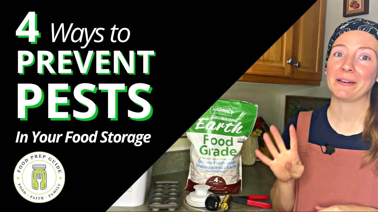 4 Ways to PROTECT Your Food Storage From PESTS