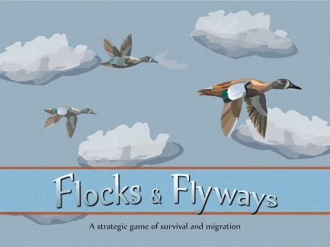 Flocks & Flyways: Kickstarter Intro Video 