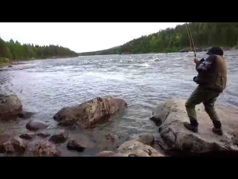 Jockfall 2014 - Lohi ylös