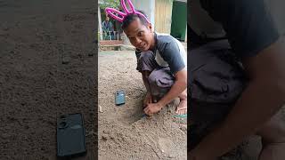 Download lagu kuburin hp #lucu #celana pendek #trending #berlangganan mp3 Download lagu kuburin hp #lucu #celana pendek #trending #berlangganan mp3