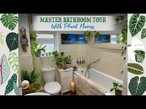 , title : 'Bathroom Tour With Info & Plant Names 🌿💧🛁🌴🐚'