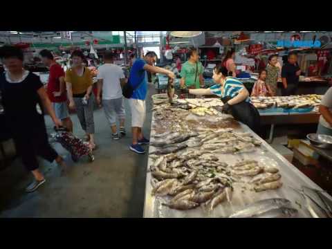 NOWACO A/S - Company Movie FISH & SEAFOOD