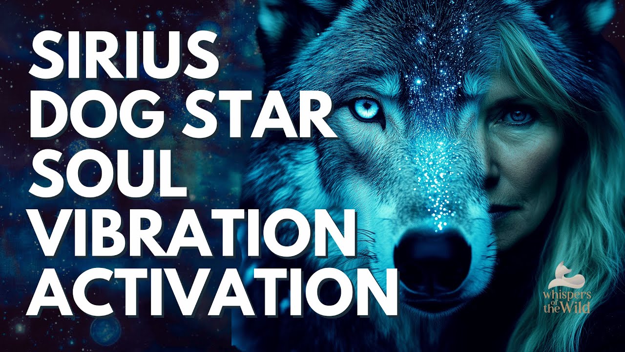 SIRIUS STARlight SOUL Activation~Awaken Your COSMIC COURAGE