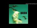 Bush - Jesus Online