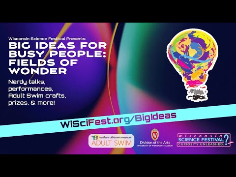 Big Ideas for Busy People: Fields of Wonder (2024)