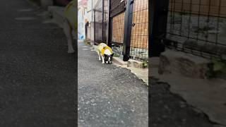 フレブルがなかなか進まない