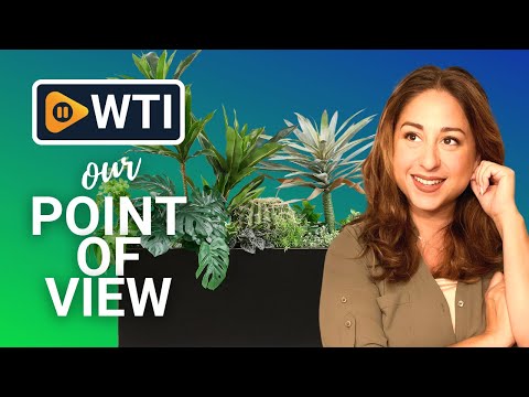Wallowa Metallic Heavy Long and Large Outdoor/Indoor Planter - WTI product video review