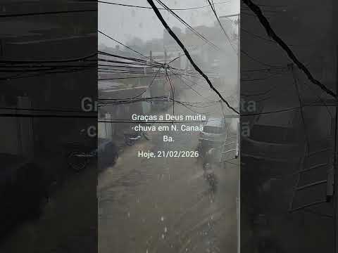 Graças a Deus a chuva chegou em Nova Canaã Bahia #shortvideo #shortsfeed #shorts #short