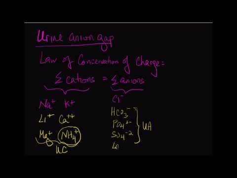 10-minute Rounds:  The Urine Anion Gap