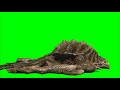 Green Screen Monster 4 Monster Loses Fight Dies