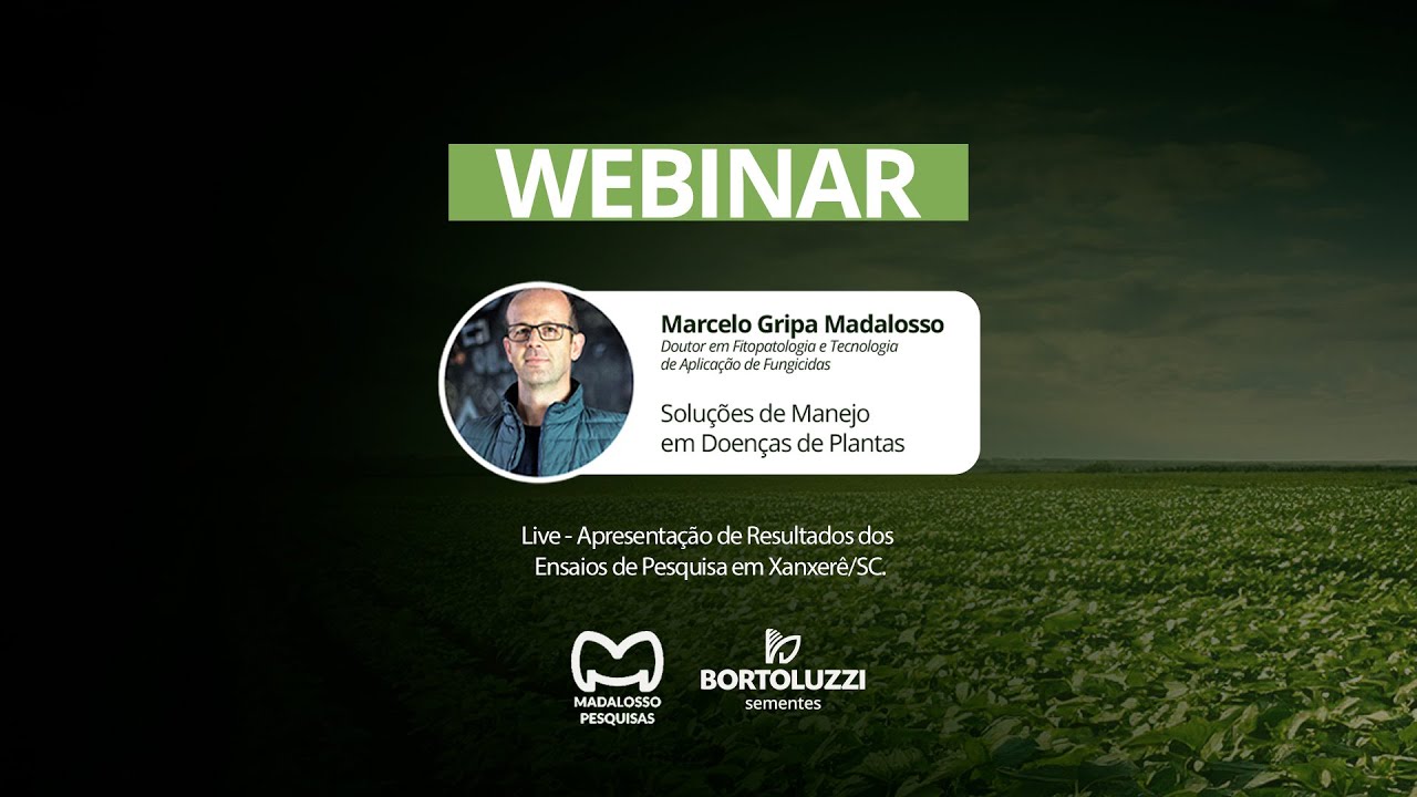 WEBINAR - Solução de Manejo em Doenças de Plantas - Bortoluzzi & Madalosso