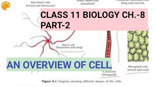 Class 11 biology Ch.8,Part-2||An overview of Cell||Study with Farru
