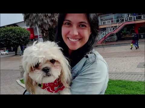 Colombia Au Pair Paola, 26 - EurAupair Video Profile