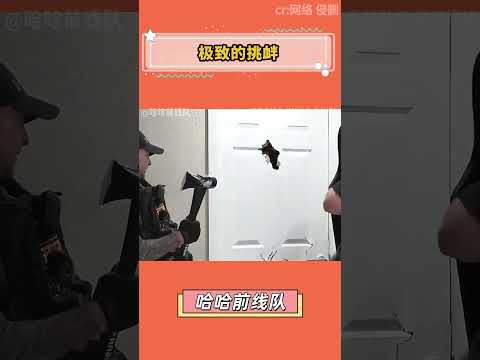 法官：那你的意思是劫匪把手從門縫裡伸出來一槍打碎了你的執法記錄儀？警察：是的法官是的#搞笑 #shorts #fyp #viral #Trending #youtube #cosplay #star