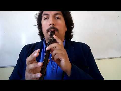 Somebody told me. Flauta. Evaluación 2oA.