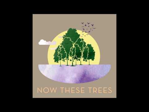 Max & Brandon - Now These Trees (feat. Justyn & Jon)