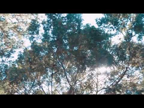 New oromo  Shallamaa Asheetuu_Itti_saffisii_new_ethiapion_music_2021