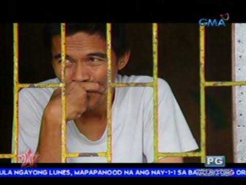 Allen Carr kung paano mangayayat basahin online Kung paano upang normalize tachytrophism