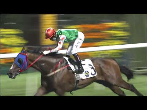 21/4/2021 (610) Cantstopthefeeling -  V Borges