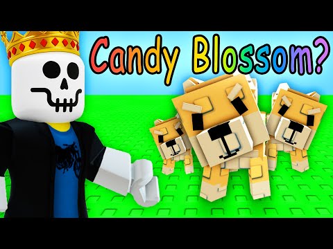 Using Only Seeds My Shiba Inu Digs up in Grow a Garden