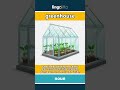 greenhouse (noun) - definition and usage in English