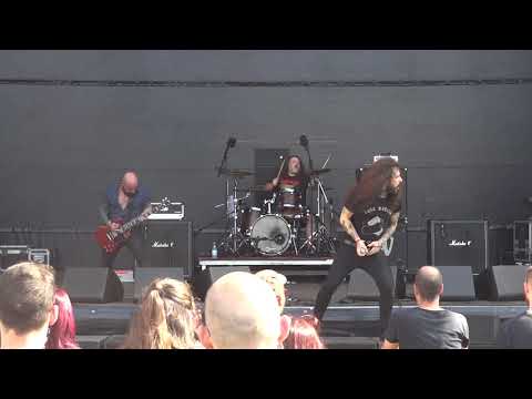 A Besta @ Laurus Nobilis