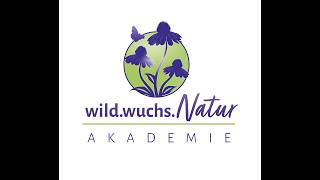 Kostenloses Live Webinar: Einstieg in die Wildkräuter-Pädagogik