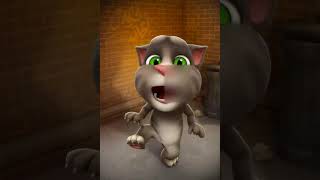 talking tom aiyo
