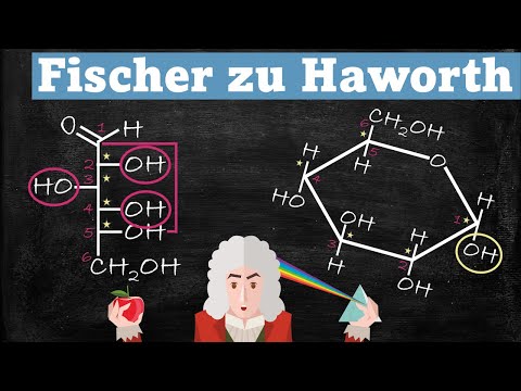 Einfach erklärt: FLOH - Fischer zu Haworth Projektion am Beispiel der Glucose