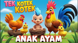 Download lagu TEK KOTEK KOTEK | 5 BEBEK KECIL BERMAIN | CIT CIT CUIT | SUARA HEWAN | M2M KIDS mp3