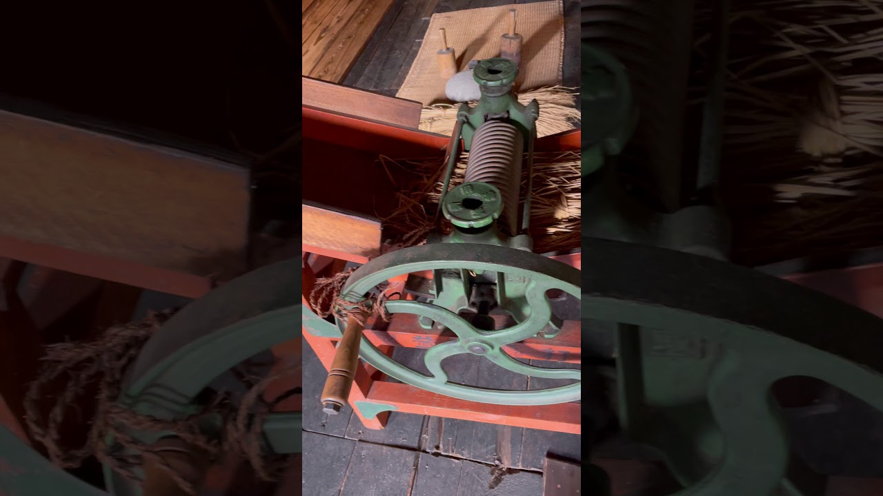 YouTube Short thumbnail