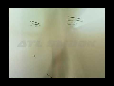 Video thumbnail for In Da Coupe