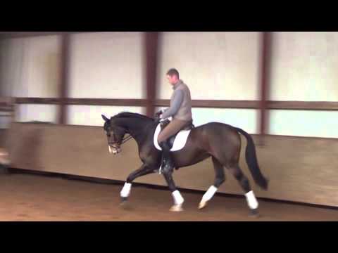 Herzensdieb - Walt Disney