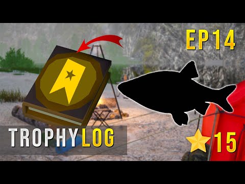 Russian Fishing 4 Trophy Log 14 Эпизод: Белая печатает деньги #rf4 #russianfishing4