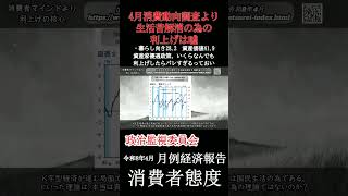 いくらなんでも利上げはバレるっておい #政治経済 #利上げ #消費動向調査