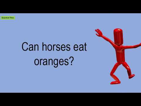 download lagu mp3 mp4 Can Horses Eat Oranges, download lagu Can Horses Eat Oranges gratis, unduh video klip Can Horses Eat Oranges