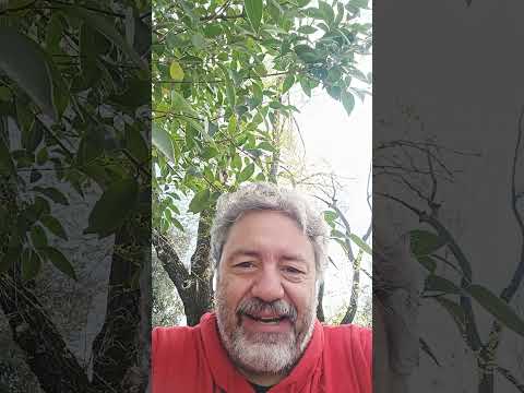 Mario Draghi secondo Chatgpt