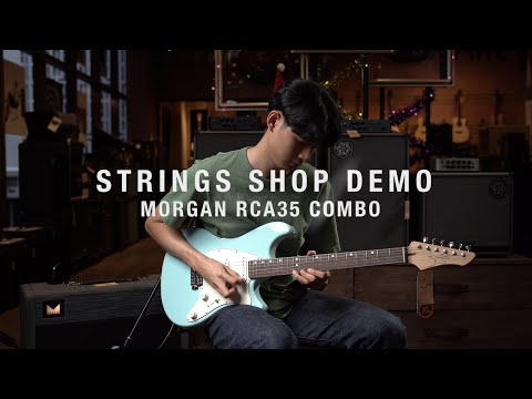 STRINGS SHOP DEMO : MORGAN RCA35R COMBO