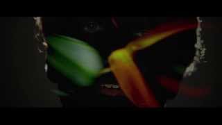 Hysterical Sublime – Colour