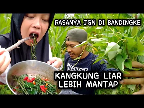 Masak kangkung liar sederhana tapi enak,masak di alam ala wong ndeso
