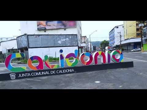 ALEXX CURE ft Fulo El Yeyo, El Derk & Kevin Ice -  CALIDONIA