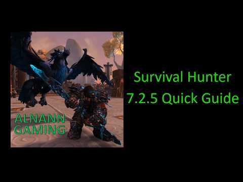 Survival Hunter 7.2.5 Quick DPS Guide