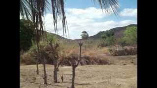 preview picture of video 'Rio do Distrito Morro Branco  Itatira-CE totalmente  seco.AVI'