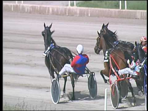 Trotto 27/05/2016 - 3° corsa