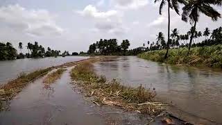 preview picture of video 'Moganur-flood between Karur and Namakkal'