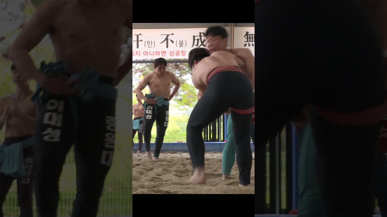 증평하면 또 씨름! 난 좋음.🤪