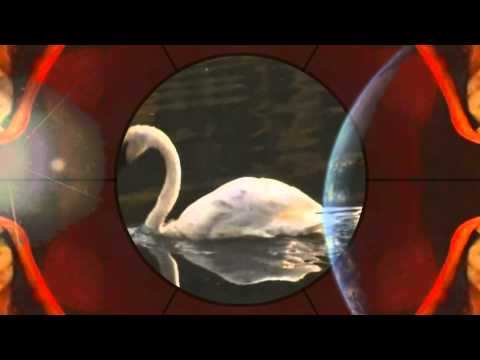 Enigma Beyond The Invisible [Short Radio Edit] - Milica's Swan Song